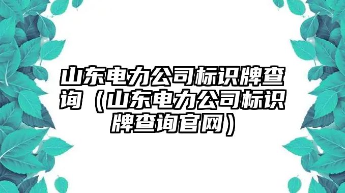 山東電力公司標(biāo)識(shí)牌查詢（山東電力公司標(biāo)識(shí)牌查詢官網(wǎng)）