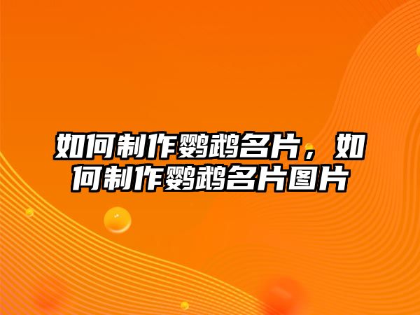 如何制作鸚鵡名片，如何制作鸚鵡名片圖片