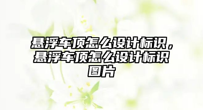 懸浮車頂怎么設計標識，懸浮車頂怎么設計標識圖片