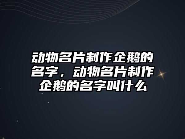 動物名片制作企鵝的名字，動物名片制作企鵝的名字叫什么