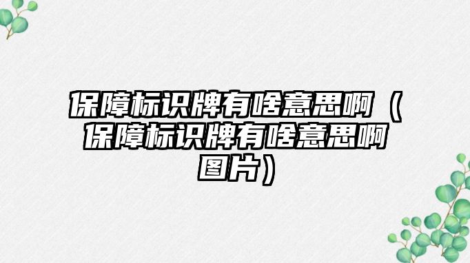 保障標(biāo)識(shí)牌有啥意思?。ūＵ蠘?biāo)識(shí)牌有啥意思啊圖片）