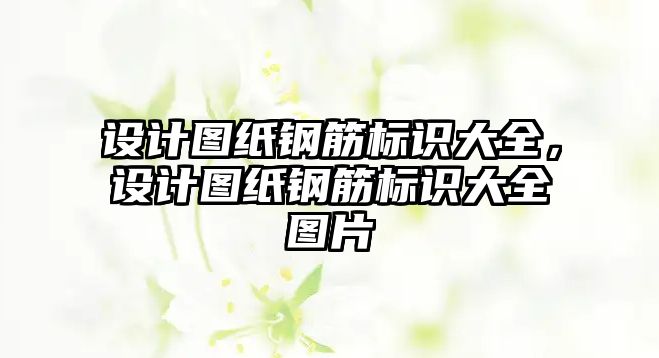 設(shè)計(jì)圖紙鋼筋標(biāo)識大全，設(shè)計(jì)圖紙鋼筋標(biāo)識大全圖片