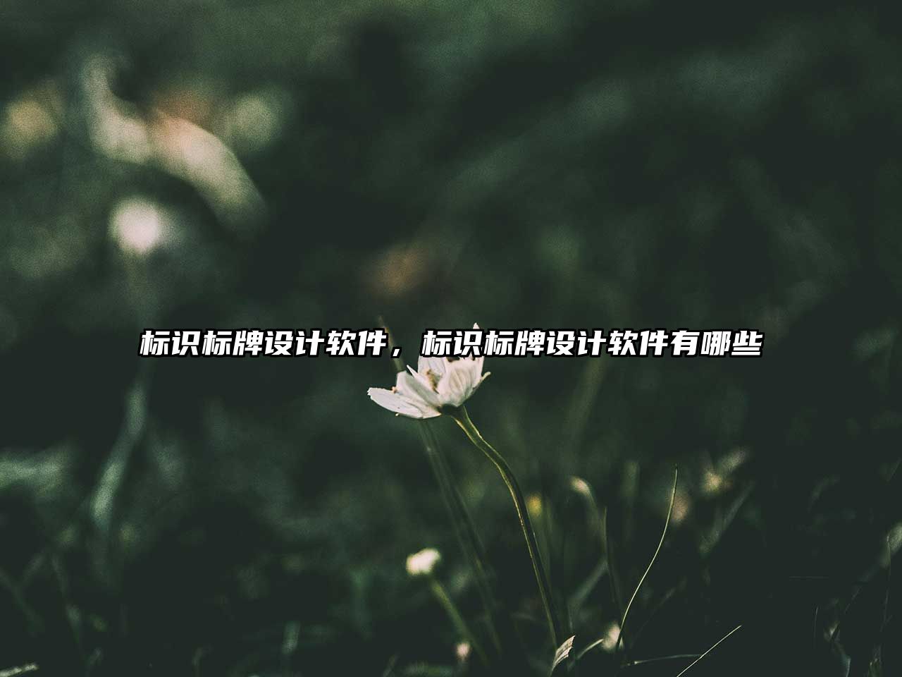 標(biāo)識標(biāo)牌設(shè)計軟件，標(biāo)識標(biāo)牌設(shè)計軟件有哪些