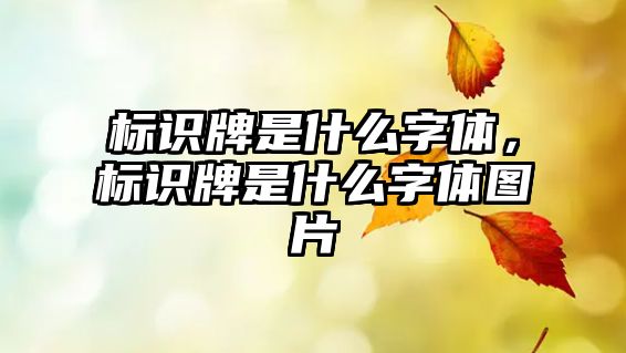 標(biāo)識牌是什么字體，標(biāo)識牌是什么字體圖片