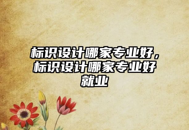 標(biāo)識(shí)設(shè)計(jì)哪家專業(yè)好，標(biāo)識(shí)設(shè)計(jì)哪家專業(yè)好就業(yè)