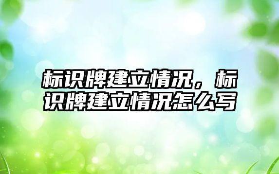 標識牌建立情況，標識牌建立情況怎么寫