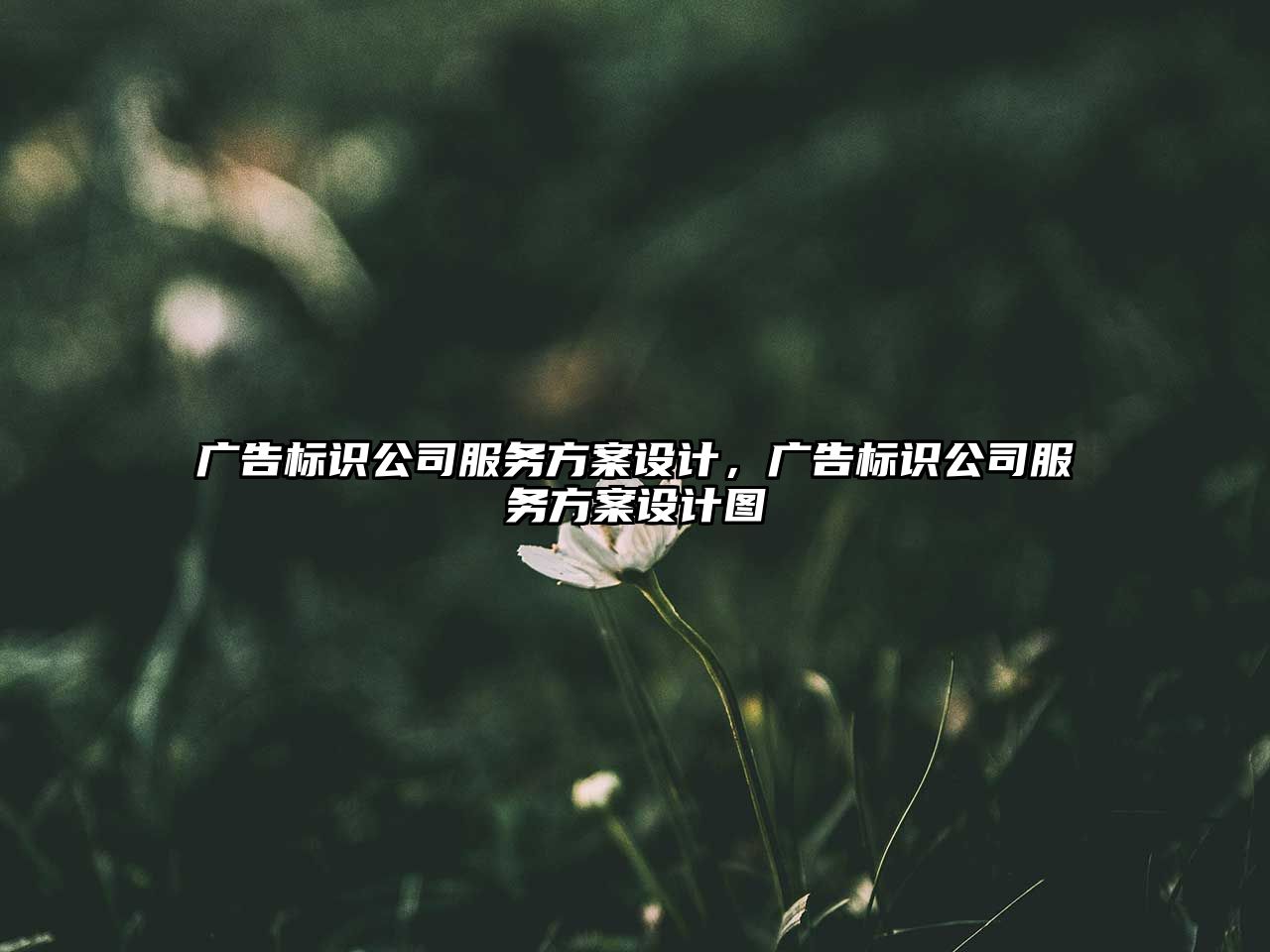 廣告標(biāo)識(shí)公司服務(wù)方案設(shè)計(jì)，廣告標(biāo)識(shí)公司服務(wù)方案設(shè)計(jì)圖