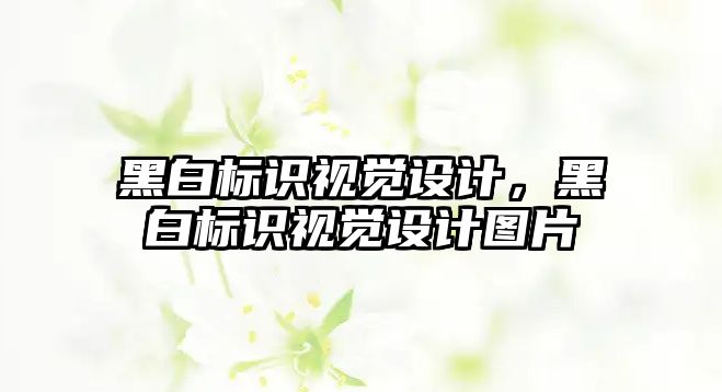 黑白標(biāo)識視覺設(shè)計，黑白標(biāo)識視覺設(shè)計圖片