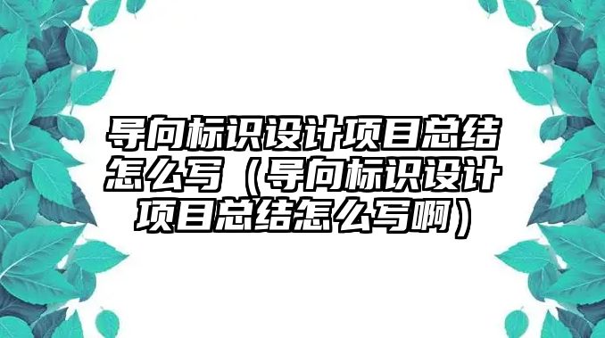 導向標識設計項目總結怎么寫（導向標識設計項目總結怎么寫啊）