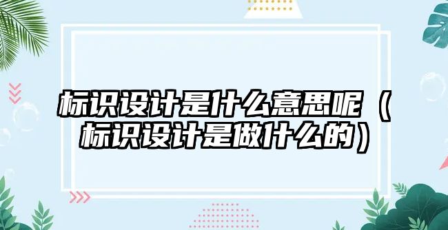 標識設(shè)計是什么意思呢（標識設(shè)計是做什么的）