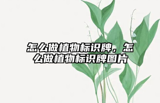 怎么做植物標(biāo)識牌，怎么做植物標(biāo)識牌圖片