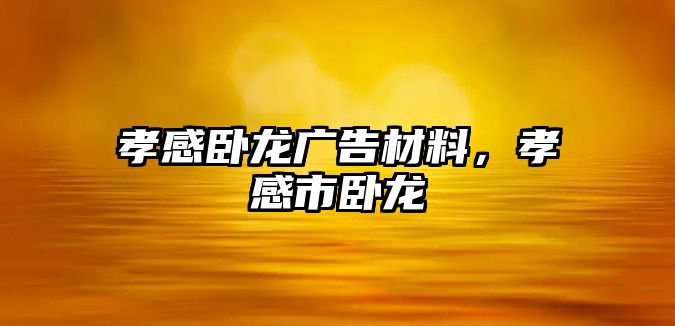 孝感臥龍廣告材料，孝感市臥龍