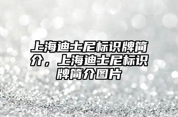 上海迪士尼標(biāo)識牌簡介，上海迪士尼標(biāo)識牌簡介圖片