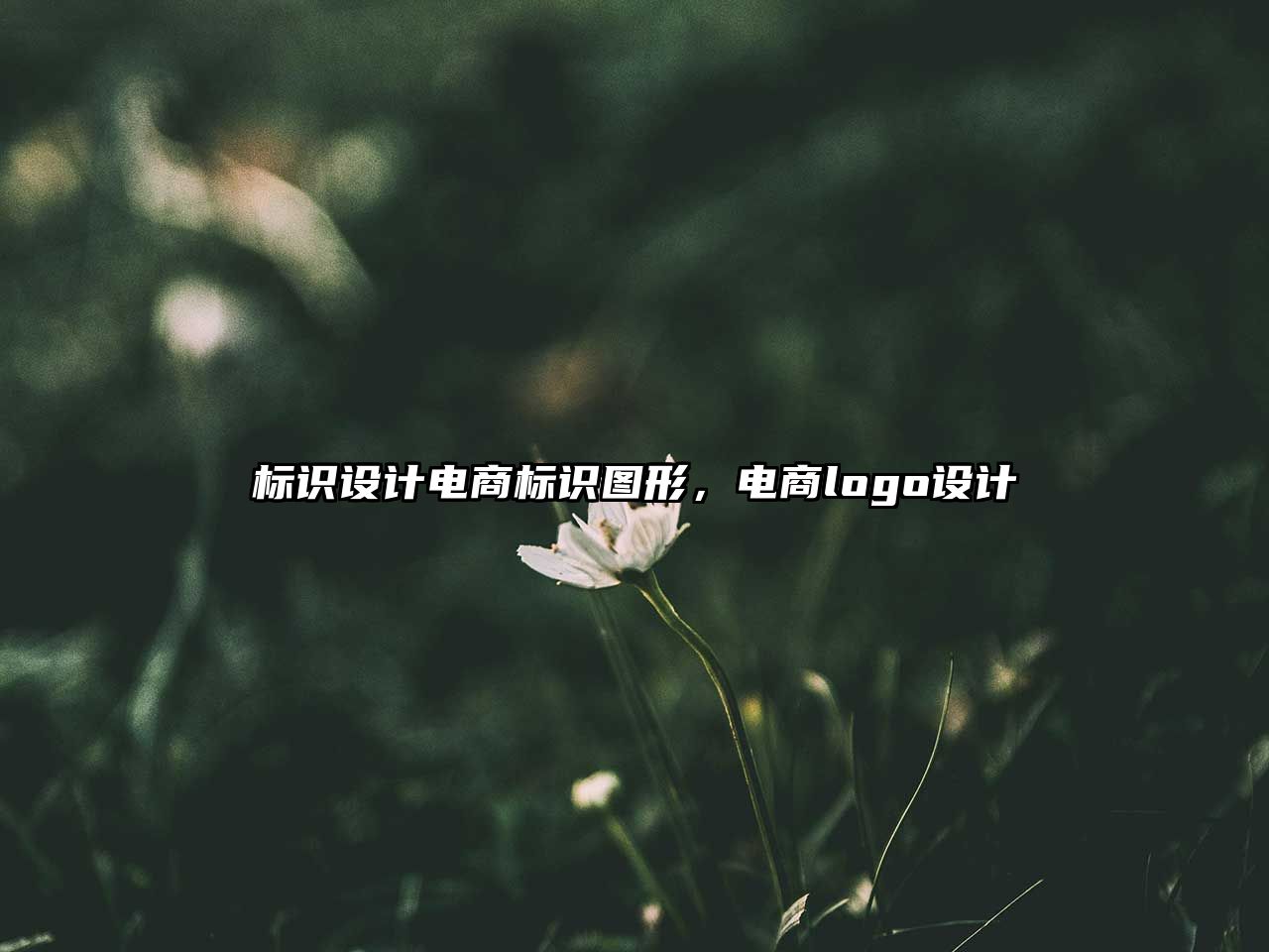 標(biāo)識(shí)設(shè)計(jì)電商標(biāo)識(shí)圖形，電商logo設(shè)計(jì)