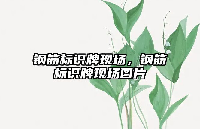 鋼筋標識牌現(xiàn)場，鋼筋標識牌現(xiàn)場圖片