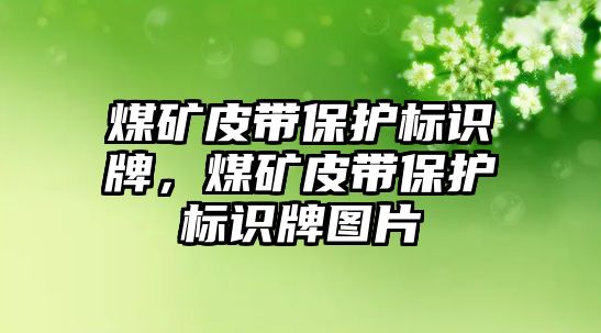 煤礦皮帶保護(hù)標(biāo)識牌，煤礦皮帶保護(hù)標(biāo)識牌圖片