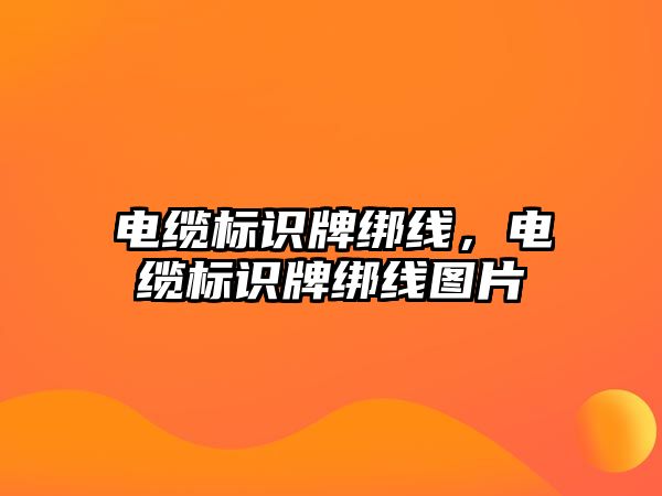 電纜標(biāo)識牌綁線，電纜標(biāo)識牌綁線圖片