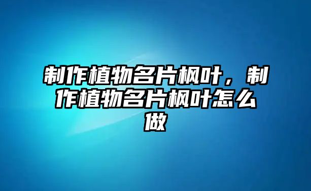 制作植物名片楓葉，制作植物名片楓葉怎么做