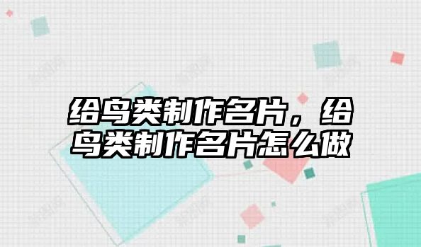 給鳥類制作名片，給鳥類制作名片怎么做