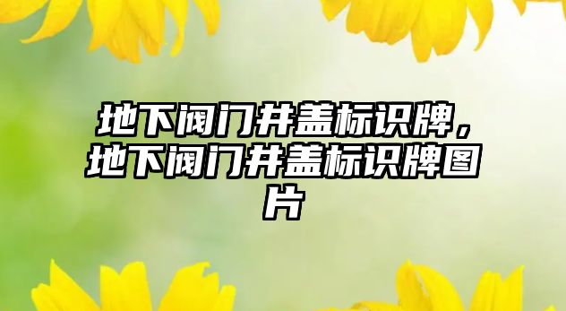 地下閥門井蓋標識牌，地下閥門井蓋標識牌圖片