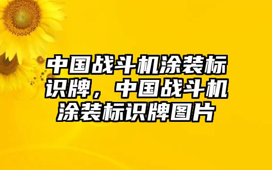 中國戰(zhàn)斗機(jī)涂裝標(biāo)識牌，中國戰(zhàn)斗機(jī)涂裝標(biāo)識牌圖片