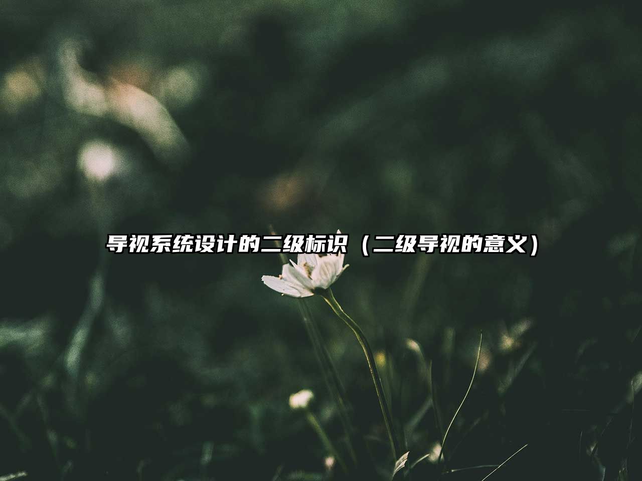 導視系統(tǒng)設計的二級標識（二級導視的意義）