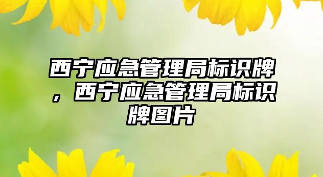 西寧應(yīng)急管理局標識牌，西寧應(yīng)急管理局標識牌圖片