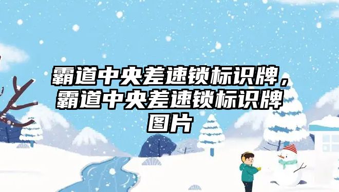 霸道中央差速鎖標識牌，霸道中央差速鎖標識牌圖片