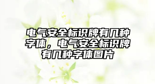 電氣安全標(biāo)識(shí)牌有幾種字體，電氣安全標(biāo)識(shí)牌有幾種字體圖片