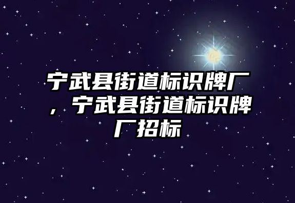 寧武縣街道標識牌廠，寧武縣街道標識牌廠招標