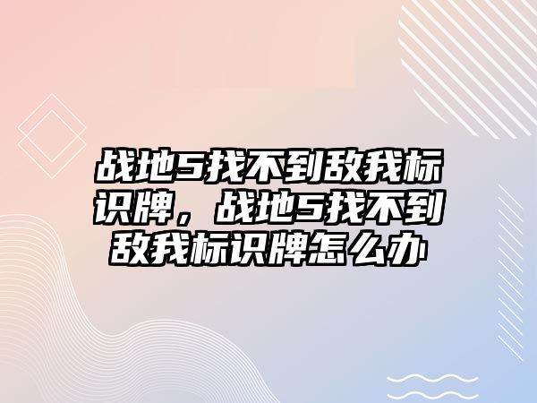 戰(zhàn)地5找不到敵我標(biāo)識牌，戰(zhàn)地5找不到敵我標(biāo)識牌怎么辦