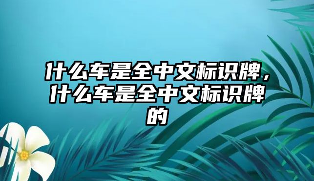 什么車是全中文標(biāo)識牌，什么車是全中文標(biāo)識牌的