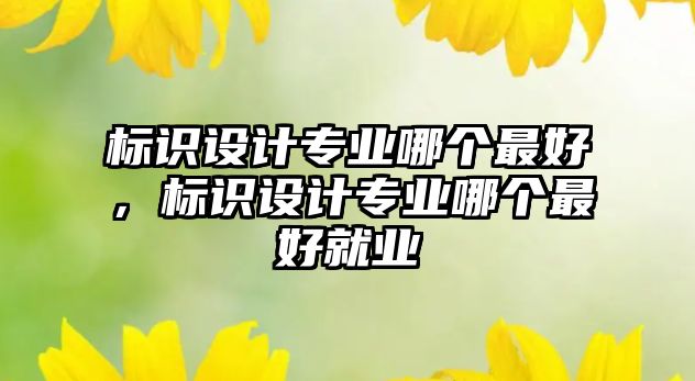 標(biāo)識(shí)設(shè)計(jì)專業(yè)哪個(gè)最好，標(biāo)識(shí)設(shè)計(jì)專業(yè)哪個(gè)最好就業(yè)