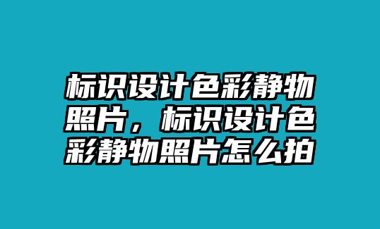 標識設(shè)計色彩靜物照片，標識設(shè)計色彩靜物照片怎么拍