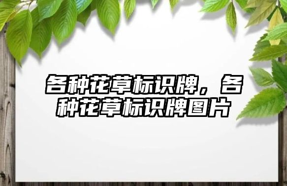 各種花草標(biāo)識牌，各種花草標(biāo)識牌圖片