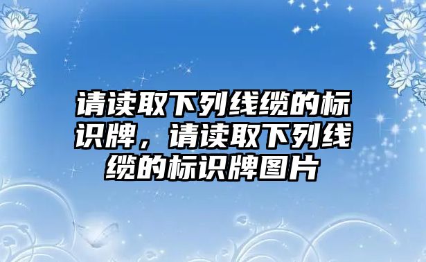 請讀取下列線纜的標識牌，請讀取下列線纜的標識牌圖片