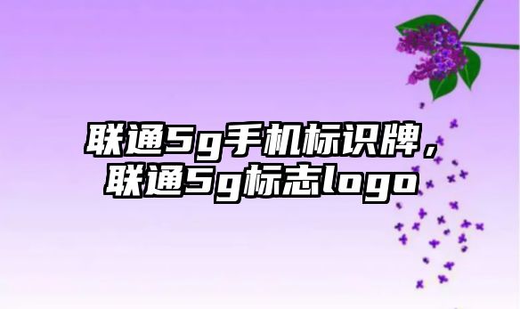 聯(lián)通5g手機(jī)標(biāo)識(shí)牌，聯(lián)通5g標(biāo)志logo