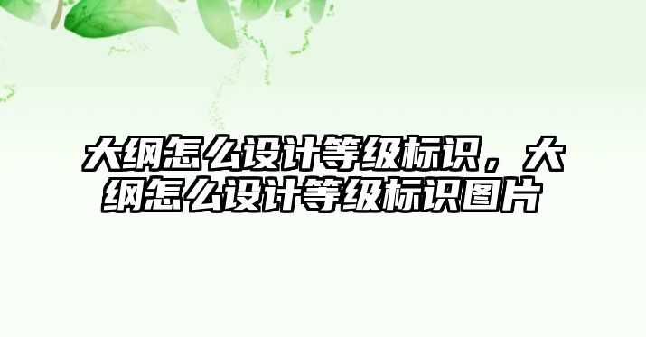 大綱怎么設(shè)計(jì)等級標(biāo)識，大綱怎么設(shè)計(jì)等級標(biāo)識圖片