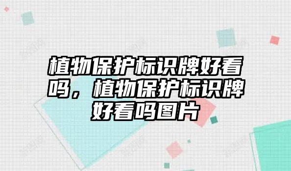 植物保護(hù)標(biāo)識(shí)牌好看嗎，植物保護(hù)標(biāo)識(shí)牌好看嗎圖片