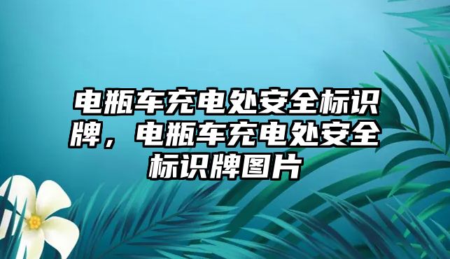 電瓶車充電處安全標(biāo)識牌，電瓶車充電處安全標(biāo)識牌圖片