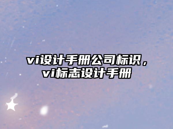 vi設(shè)計(jì)手冊公司標(biāo)識，vi標(biāo)志設(shè)計(jì)手冊