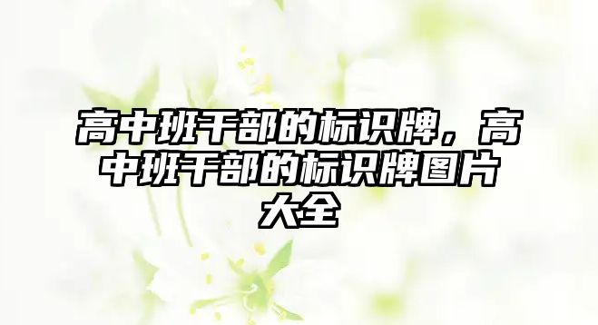 高中班干部的標(biāo)識牌，高中班干部的標(biāo)識牌圖片大全