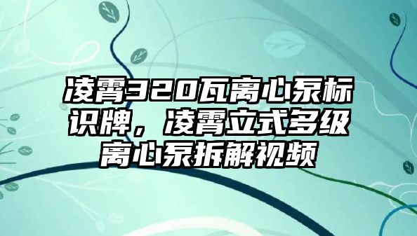 凌霄320瓦離心泵標識牌，凌霄立式多級離心泵拆解視頻