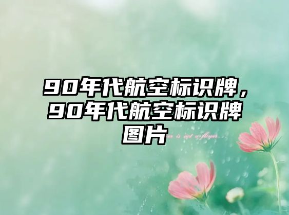 90年代航空標(biāo)識牌，90年代航空標(biāo)識牌圖片