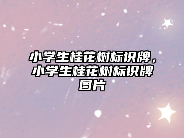 小學生桂花樹標識牌，小學生桂花樹標識牌圖片