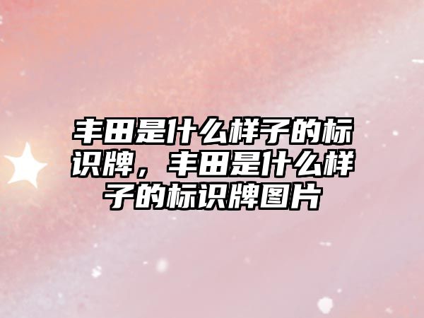 豐田是什么樣子的標(biāo)識牌，豐田是什么樣子的標(biāo)識牌圖片