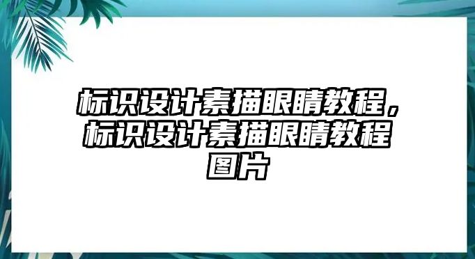 標(biāo)識(shí)設(shè)計(jì)素描眼睛教程，標(biāo)識(shí)設(shè)計(jì)素描眼睛教程圖片