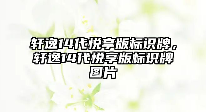 軒逸14代悅享版標(biāo)識(shí)牌，軒逸14代悅享版標(biāo)識(shí)牌圖片