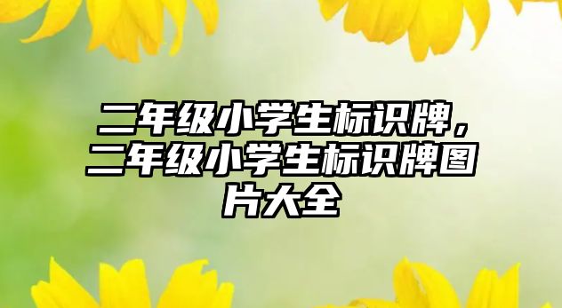 二年級小學生標識牌，二年級小學生標識牌圖片大全