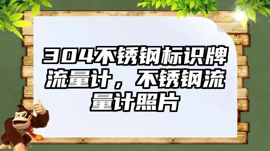 304不銹鋼標(biāo)識牌流量計，不銹鋼流量計照片